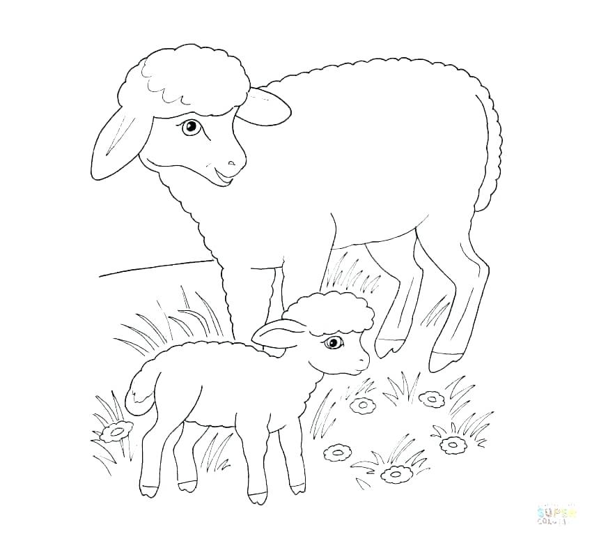 850x776 Sheep Coloring Page Sheep Coloring Page Printable Another Sheep
