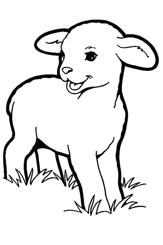 567x850 Sheep Coloring Pages Lamb Coloring Page Sheep Com Inside Decor