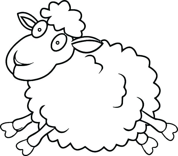 618x541 Coloring Page Sheep
