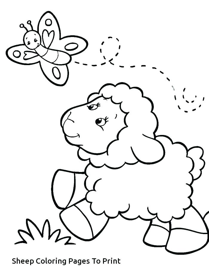700x931 Drawing A Cartoon Sheep How To Draw A Cartoon Sheep Step Sheep