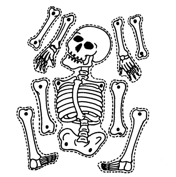 736x737 Printable Skeleton Craft Coloring Page Crafts And Worksheets