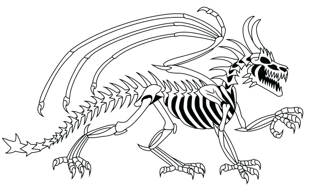 1024x627 Skeleton Coloring Page Hunter And Dog Activities Pages On Cute