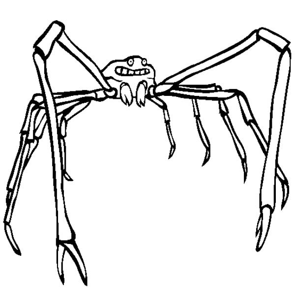 600x612 Japanese Spider Crab Coloring Page Color Luna