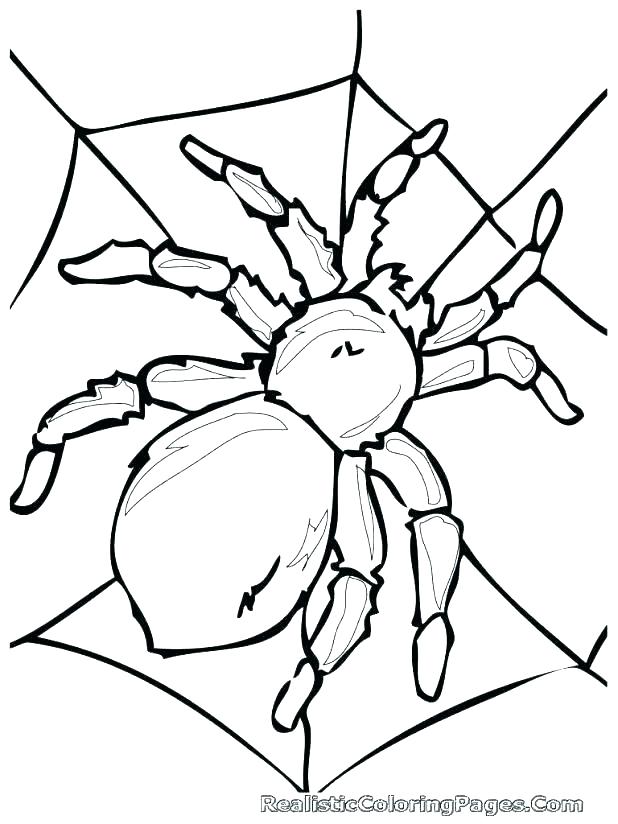 618x824 Spider Coloring Page Black White Cartoon Spider Coloring Page