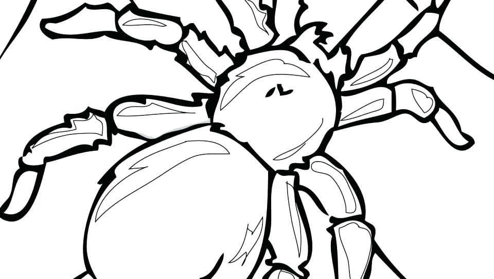 960x544 Spider Coloring Pages Coloring Pages Animals Free Cartoon Spiders