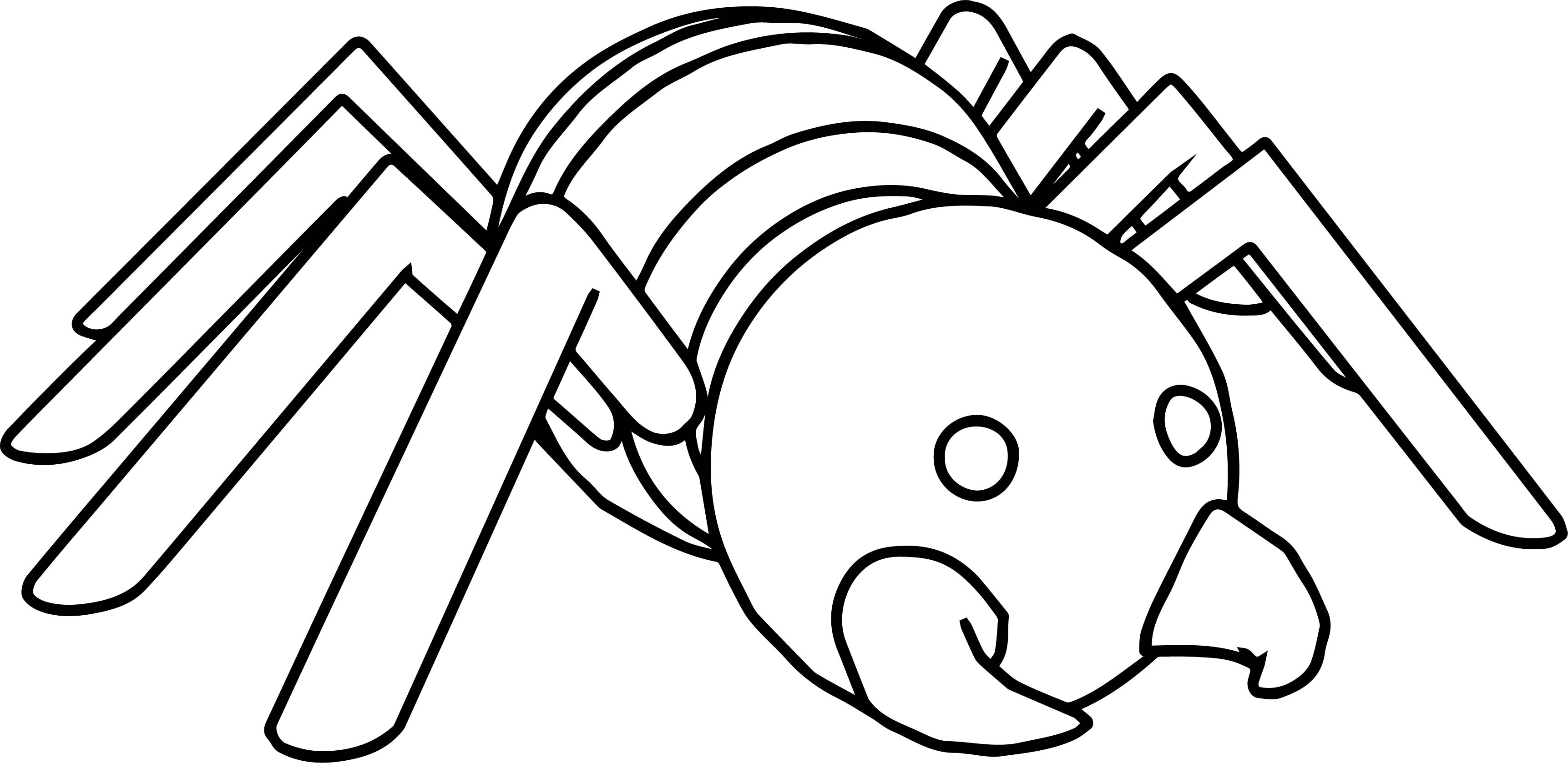 Cartoon Spider Coloring Pages at GetDrawings | Free download