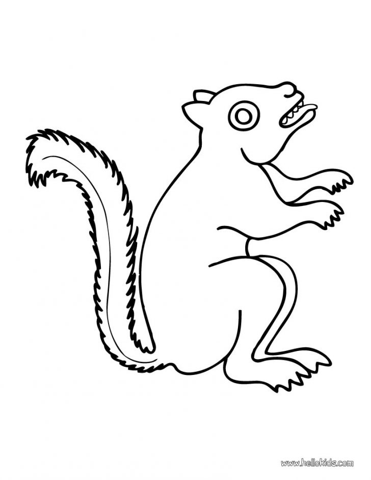 728x941 Printable Squirrel Coloring Pages For Kids Page Animal Cartoon