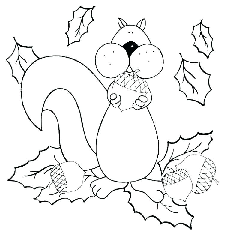 750x783 Squirrel Coloring Pages