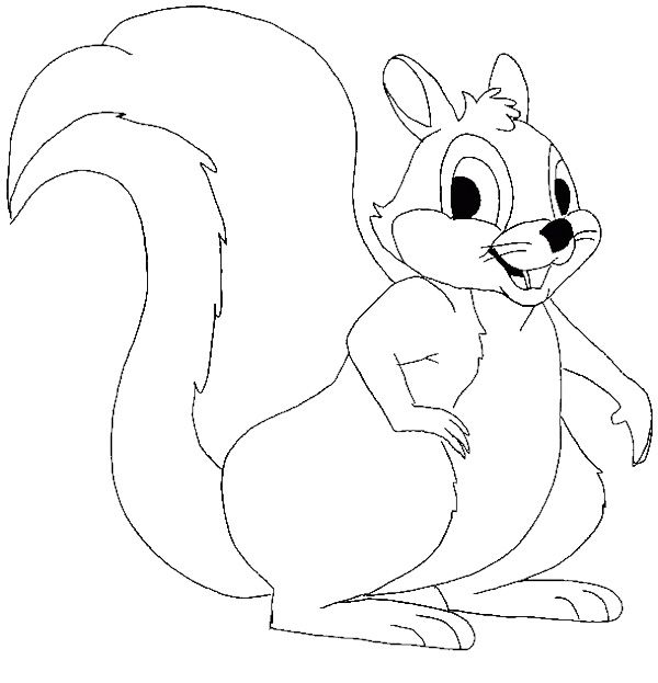 600x623 Cartoon Squirrel Coloring Pages Pattern Design Ideas