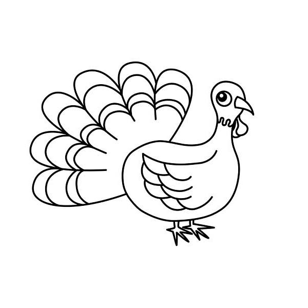 600x600 Lovely Thanksgiving Day Turkey In Cartoon Coloring Page
