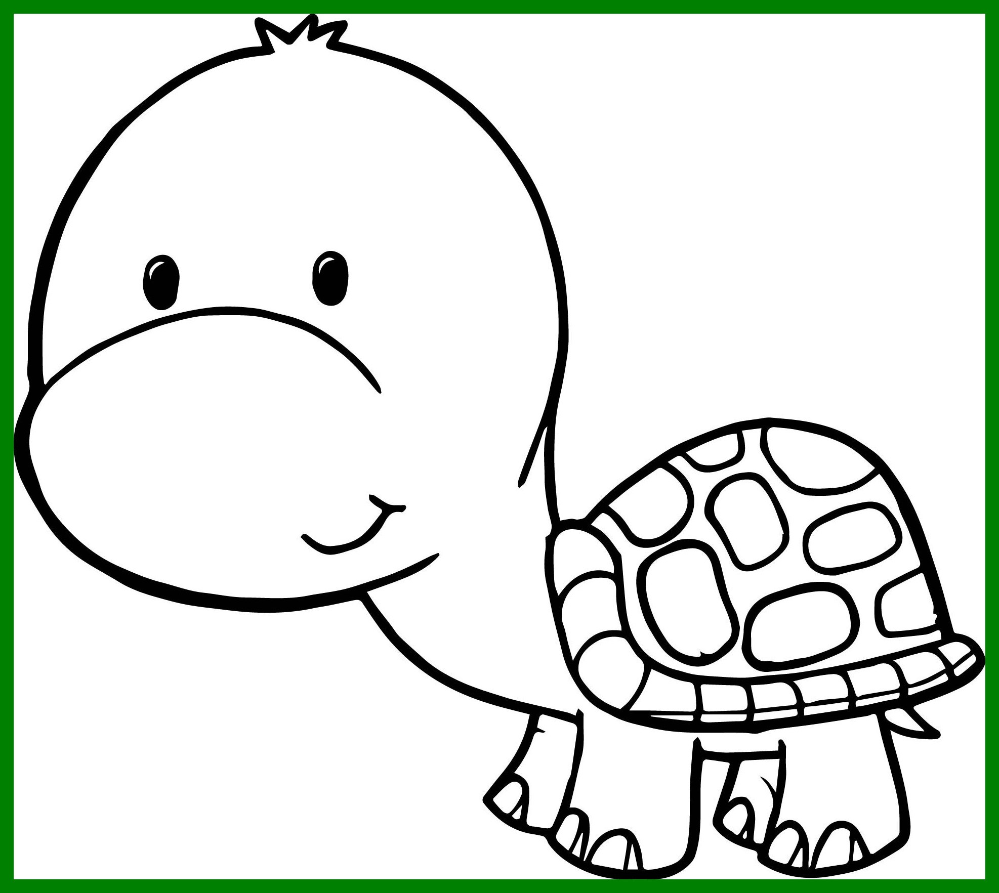 1974x1765 Fascinating Cartoon Turtle Coloring Pages Cute For Inspiration