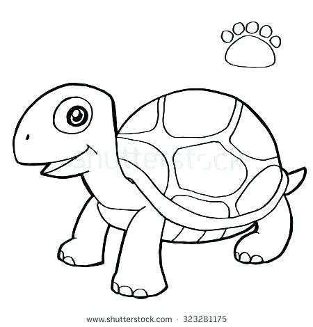 450x470 Sea Turtle Coloring Pages Free