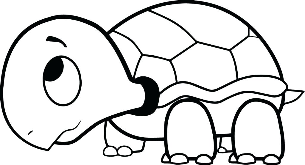 1024x555 Cartoon Turtle Coloring Pages