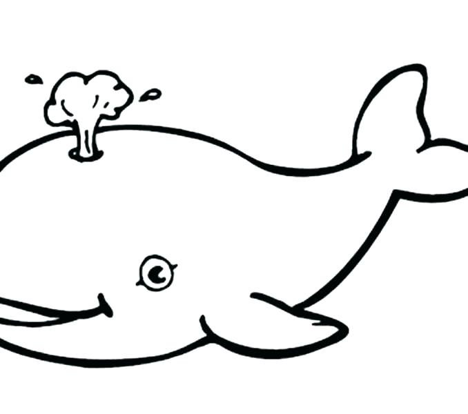 678x600 Free Printable Great White Shark Coloring Pages Finding Dory Whale