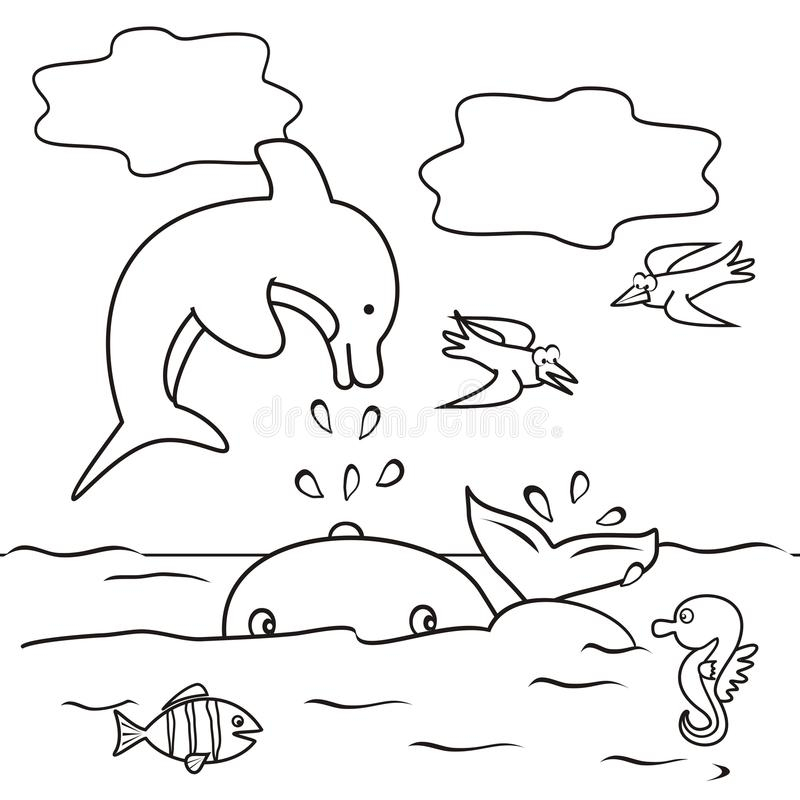 800x800 Cartoon Whale Coloring Pages Fun Time