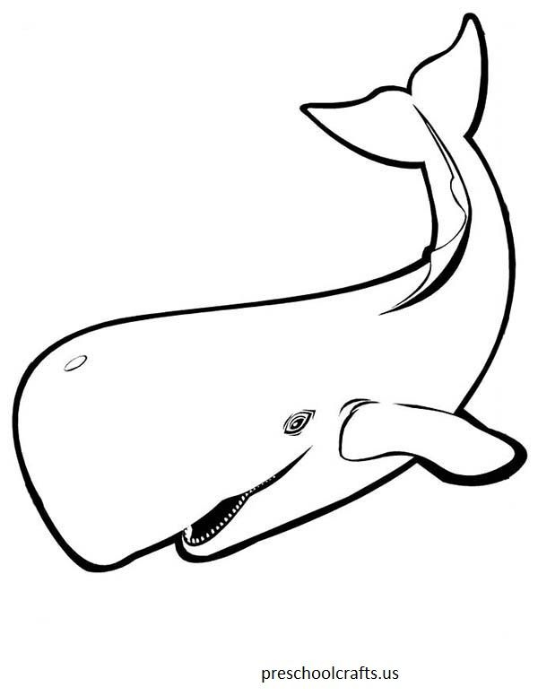 600x776 Cartoon Whale Coloring Pages