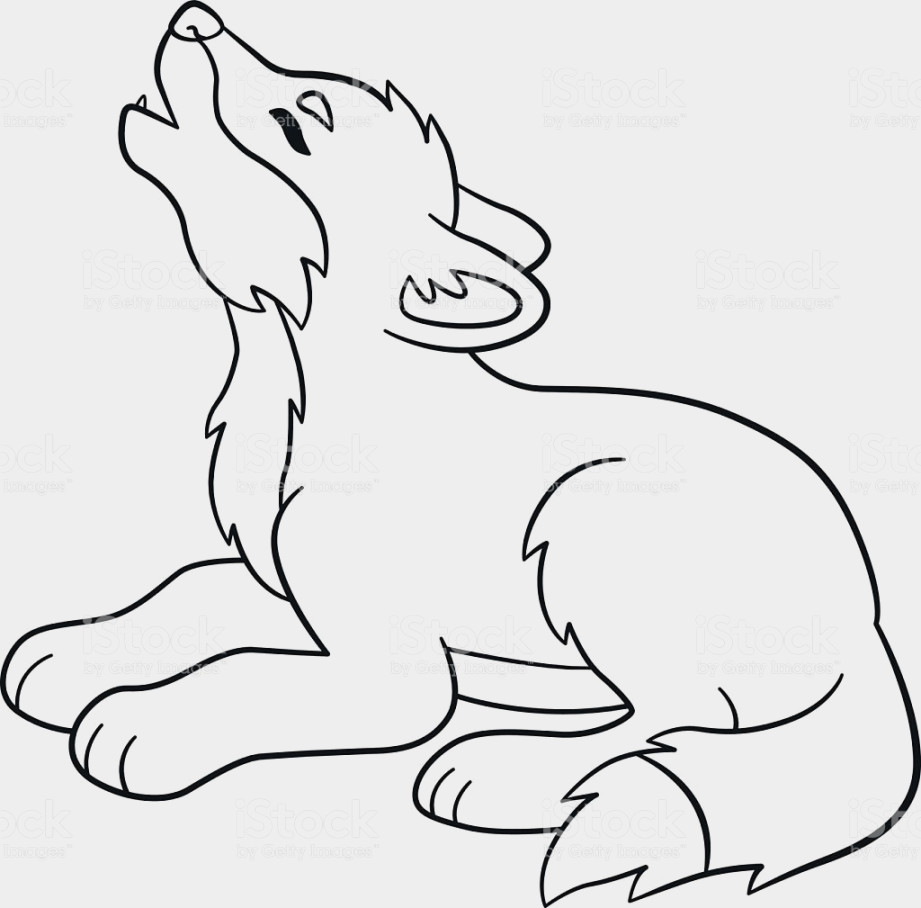 921x908 Cartoon Wolf Coloring Pages Beautiful Cute Wolf Coloring Pages