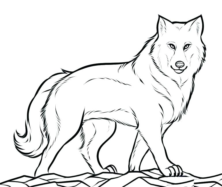 770x649 Gray Wolf Coloring Page Cartoon Pages Big Bad Gray Wolf Coloring
