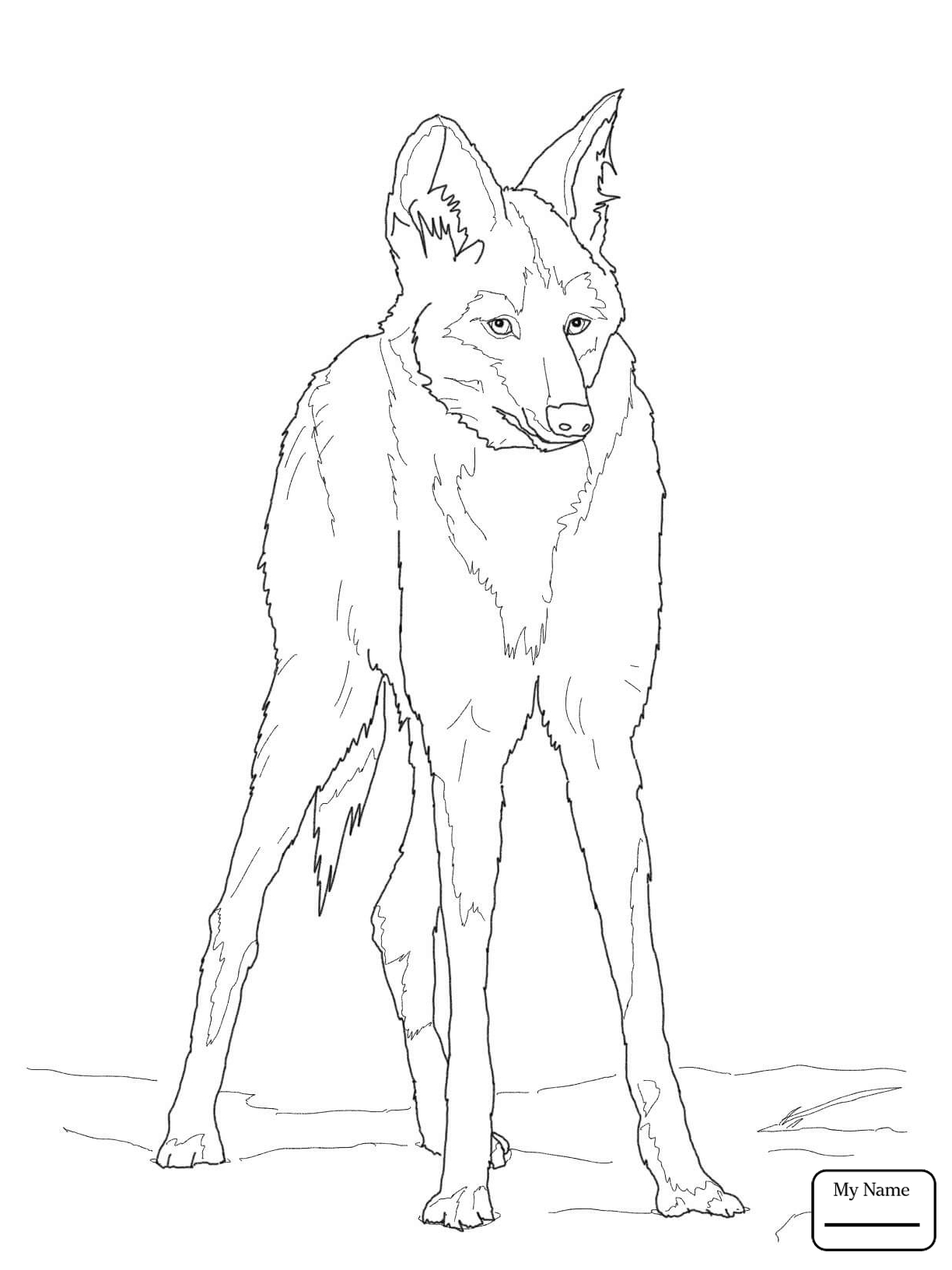 1224x1632 New Coloring Pages For Kids Wolf Cartoon Wolf Mammals