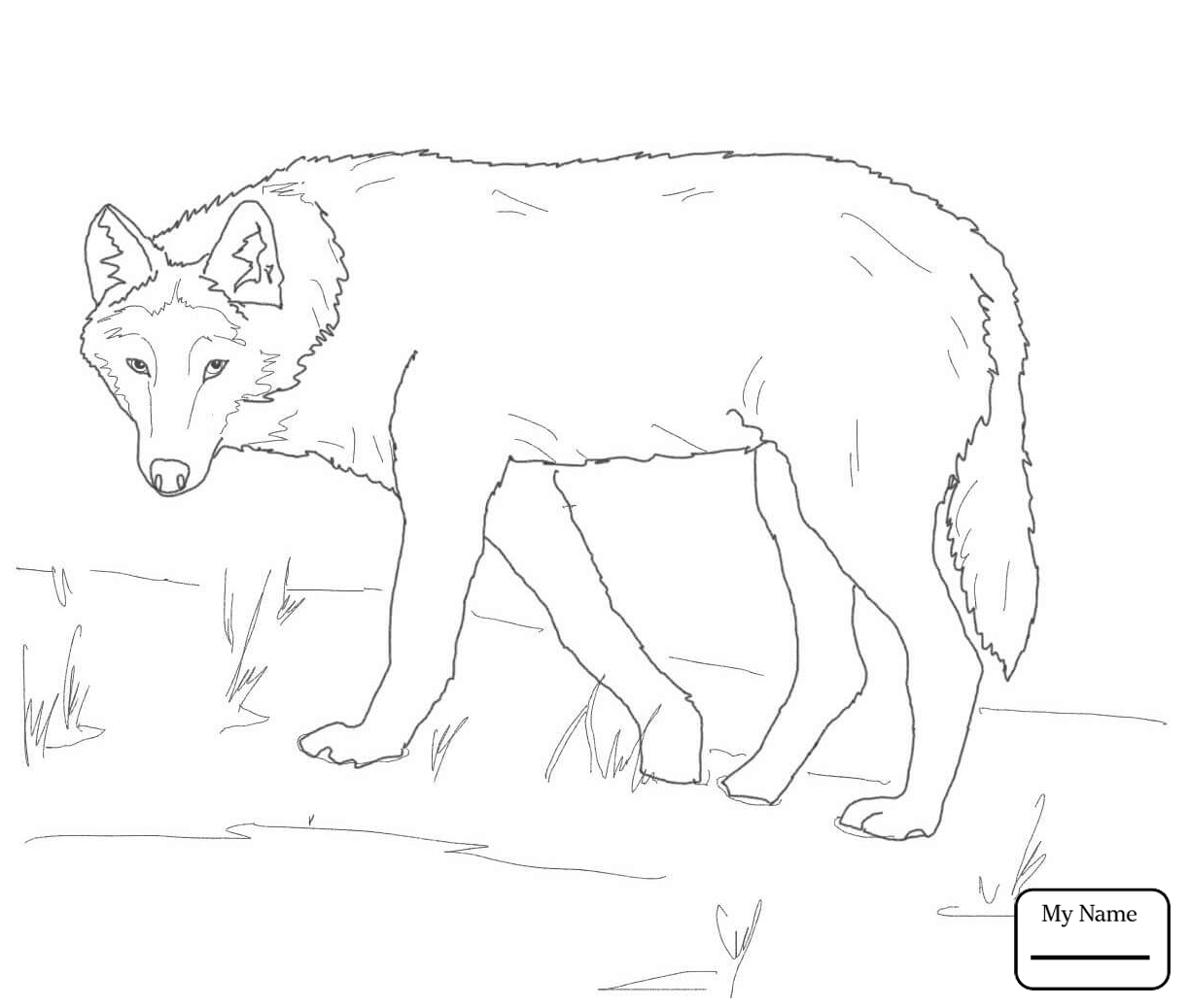 1224x1038 Unique Cartoon Wolf Coloring Pages Design Printable Coloring Sheet