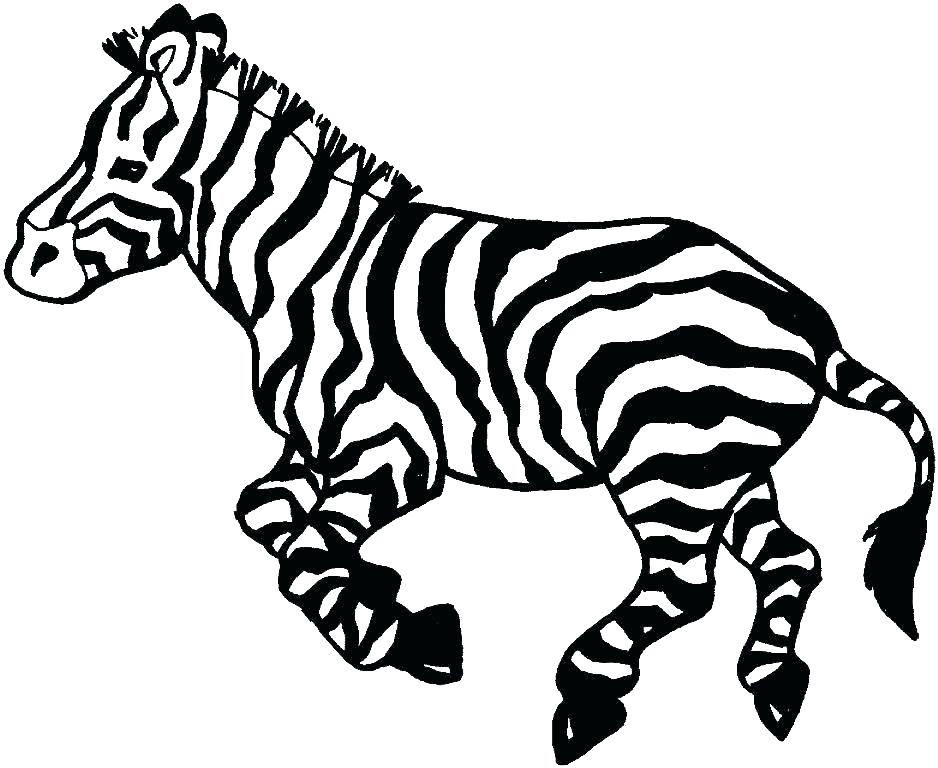 938x768 Zebra Coloring Pages Free Printable Animal Coloring Pages To Print