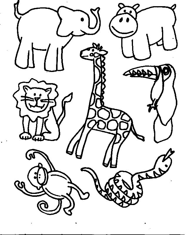 Cartoon Zoo Animals Coloring Pages