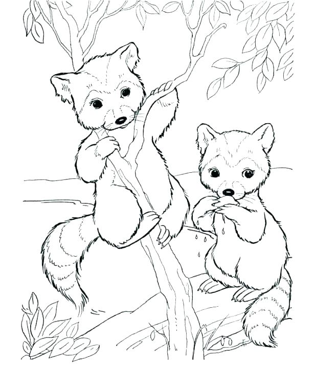 618x757 Rainforest Animals Coloring Pages Printable Cartoon Zoo Animal