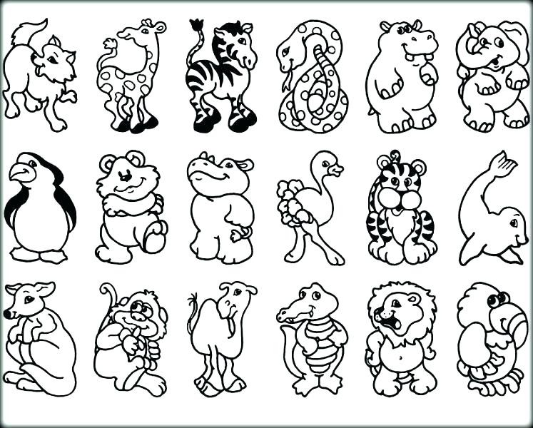 747x600 Zoo Animals Coloring Pages Zoo Coloring Pages Zoo Coloring Pages