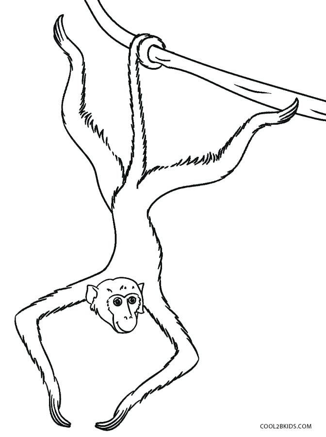672x900 Coloring Pages Of Monkeys Professional