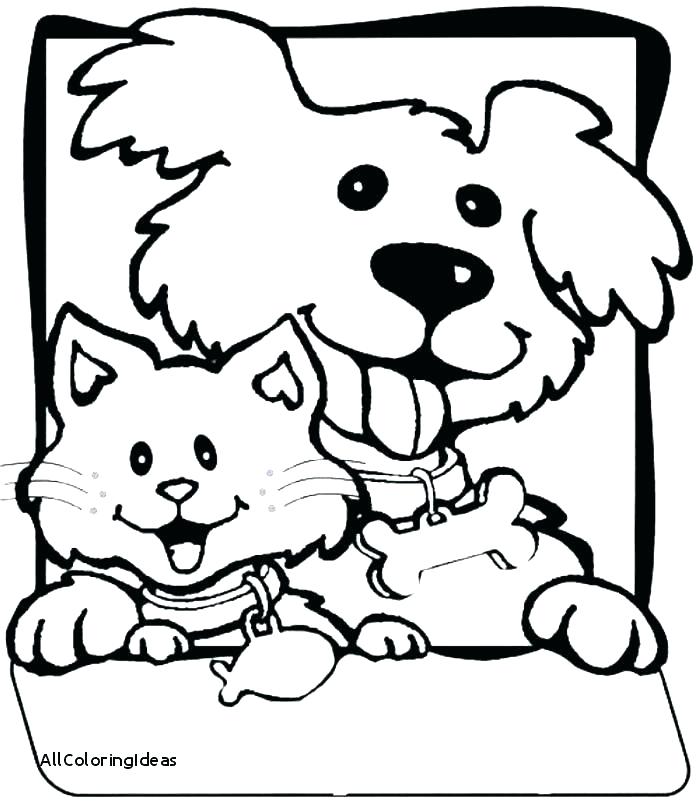 Cat And Dog Coloring Pages at GetDrawings | Free download