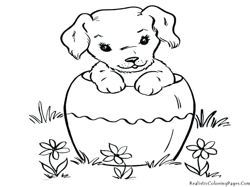878x659 Cat And Dog Coloring Pages Dog Color Pages Cat Dog Coloring Pages