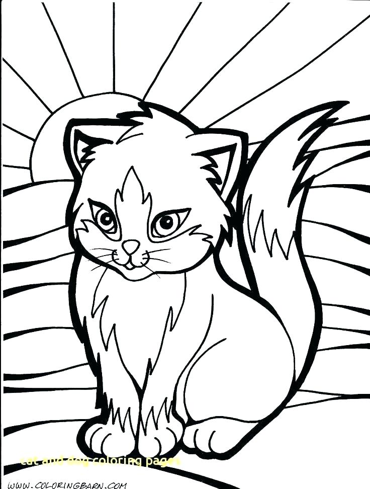 736x972 Dogs And Cats Coloring Pages Coloring Ideas Pro