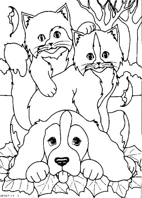 464x648 Cat And Dog Coloring Pages Dog Coloring Pages Free Free Printable