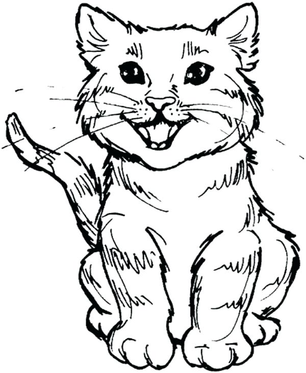 600x731 Awesome Coloring Pages Cats And Dogs Image Cartoon Cat Dog Color