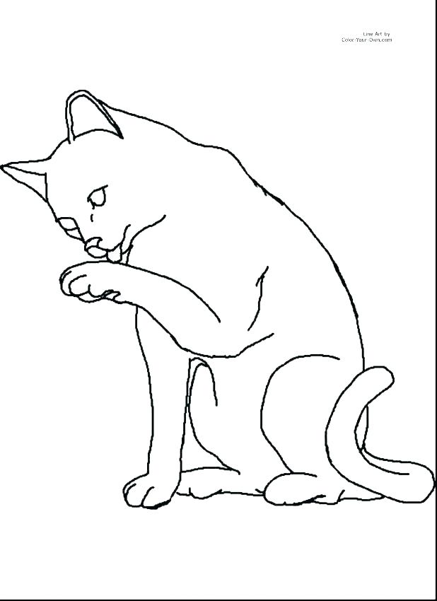 618x850 Cute Baby Kitten Coloring Page Pages Cat And Surprising Kids