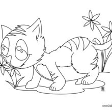220x220 Cat And Mouse Coloring Pages