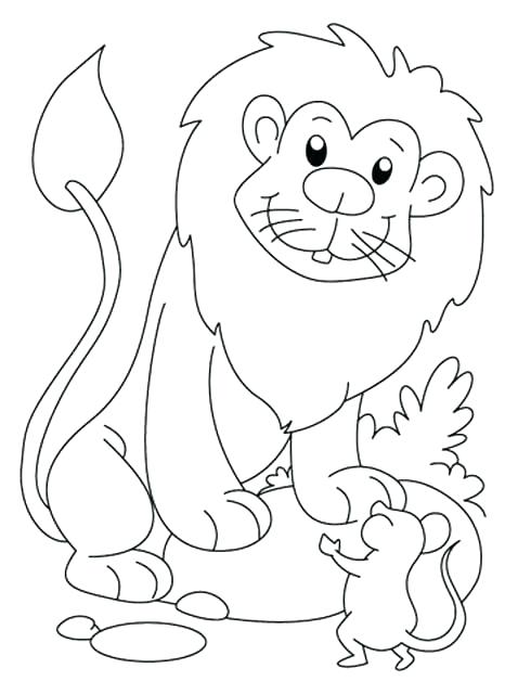 478x640 Mice Coloring Pages Cat And Mouse Coloring Pages Mice Coloring