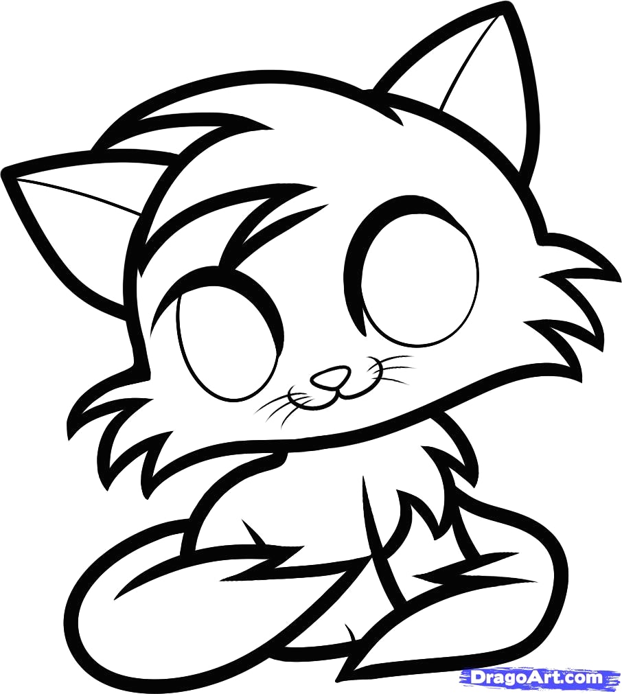 Cat Anime Coloring Pages at GetDrawings | Free download