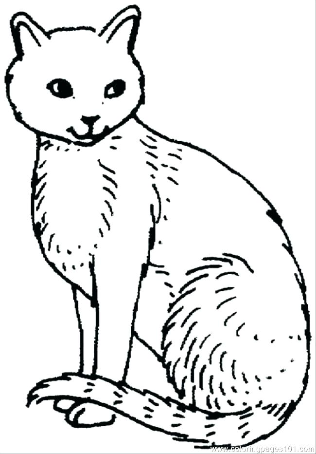 650x932 Cat Coloring Pages X Cute Kitten Cat Coloring Pages
