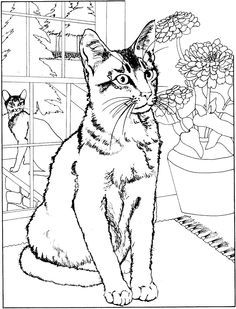 Cat Coloring Pages Adults