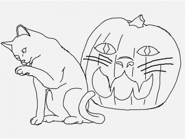 640x480 Cat Coloring Pages For Adults Photo Free Printable Cat Coloring