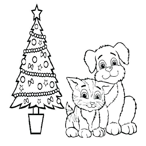 600x600 Wonderful Cat Coloring Pages For Adults Books Cat Coloring Pages