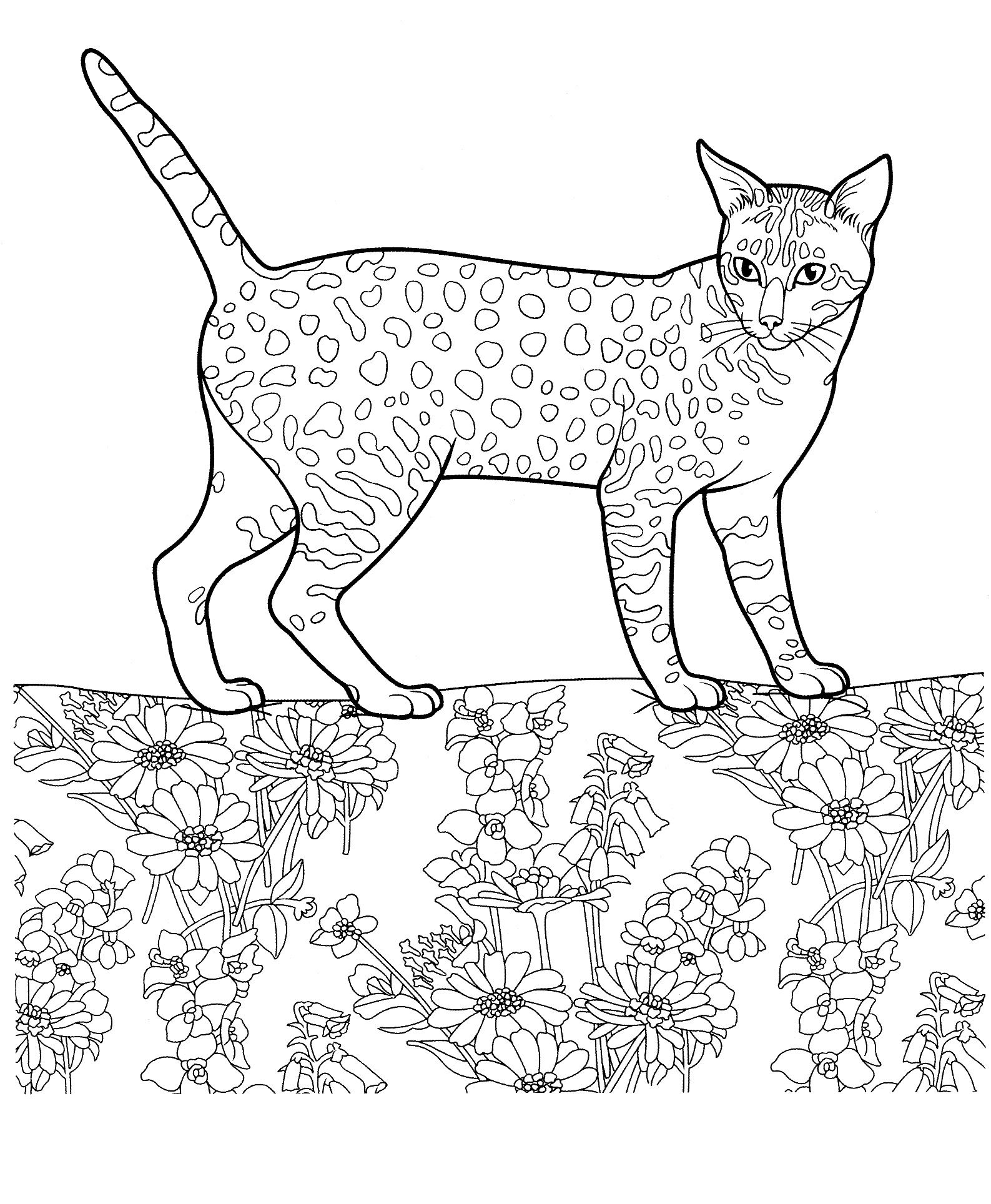 1587x1928 Cat Cats Coloring Pages For Teens And Adults