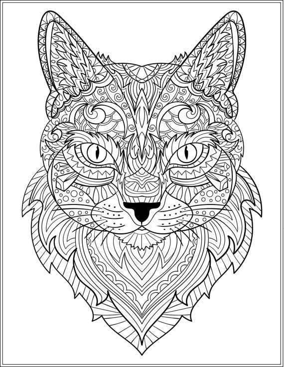 570x736 Best Colouring Cats Dogs Zentangles Images
