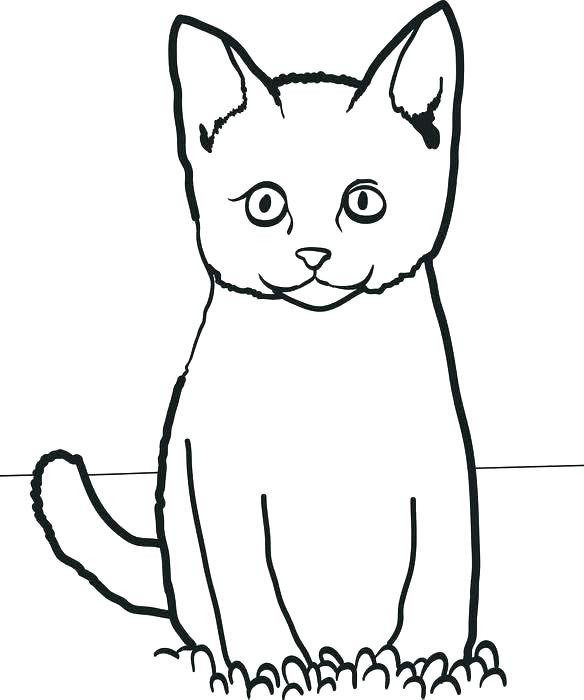 584x700 Cat Color Page Cat Color Page Realistic Tabby Cat Coloring Pages