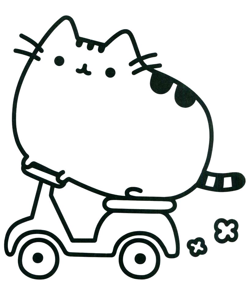 805x955 Cat Coloring Baby Cat Coloring Pages Realistic Drawing Of Kitty