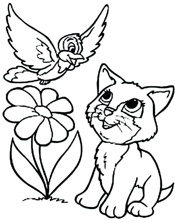 600x763 Cat Coloring Pages Cat Color Coloring Page Hello Kitty Coloring