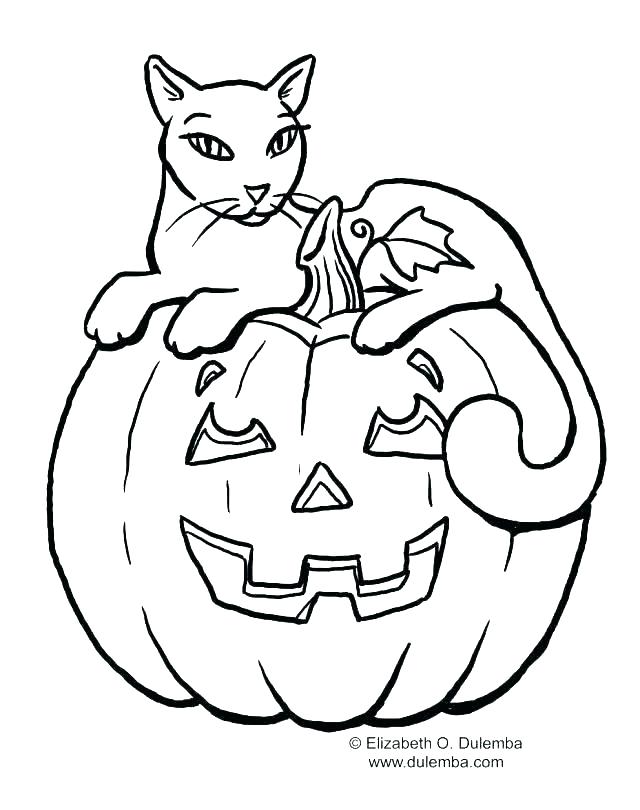 640x810 Halloween Cat Coloring Page Black Cat Coloring Pages Halloween