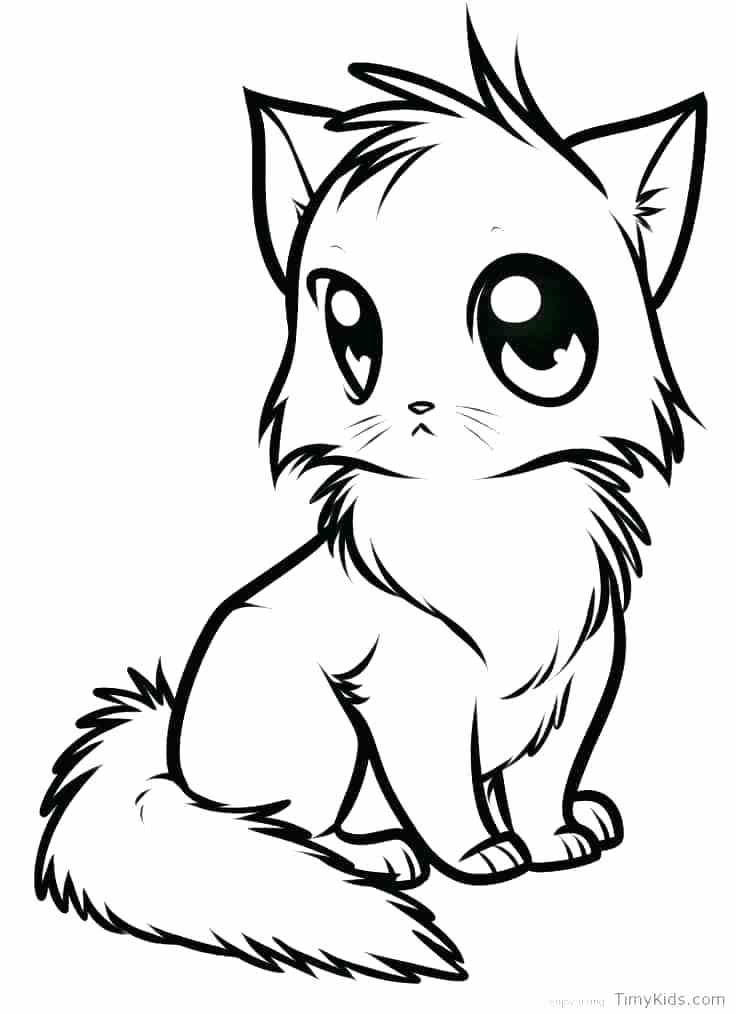 736x1014 Cat Coloring Pages Online