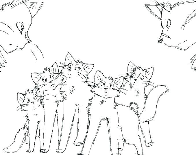 678x534 Cat Coloring Pages Online